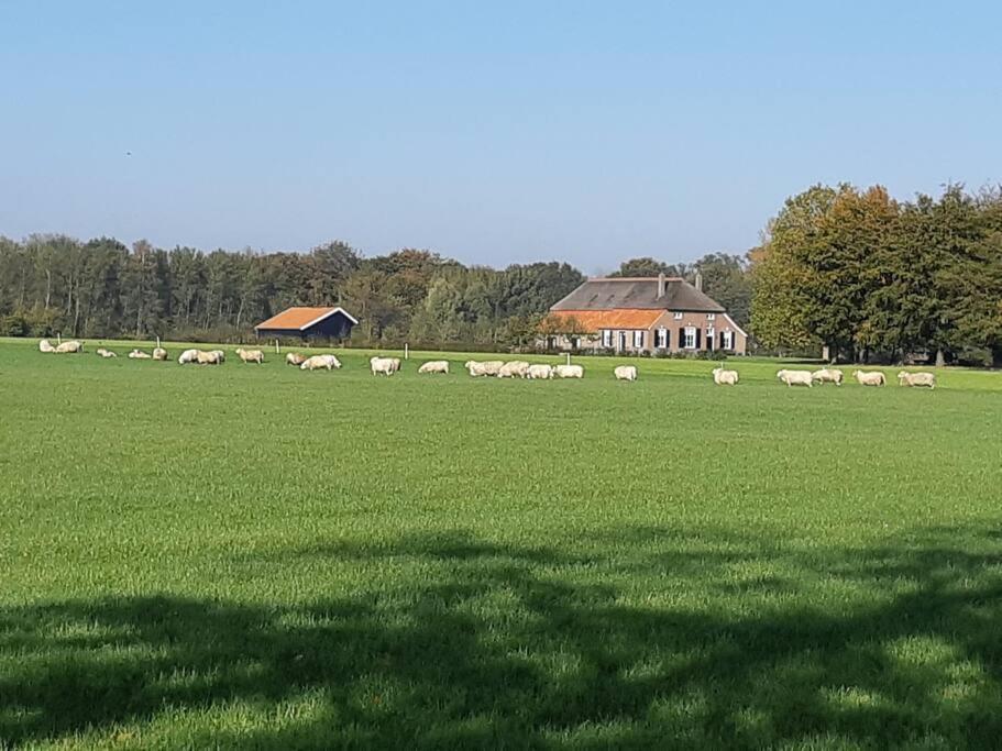 B&B Joostink In Ворден Экстерьер фото